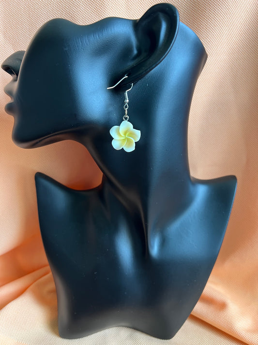 White Hibiscus